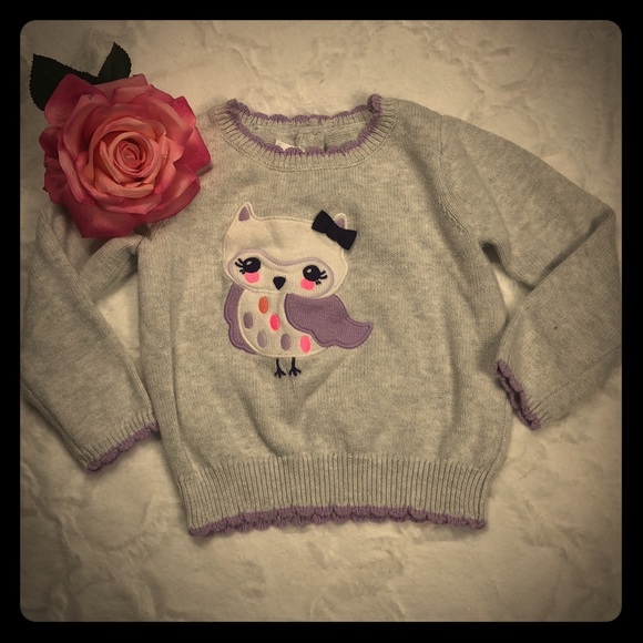 Gymboree Gray Owl Sweater size 2T - Picture 3 of 9